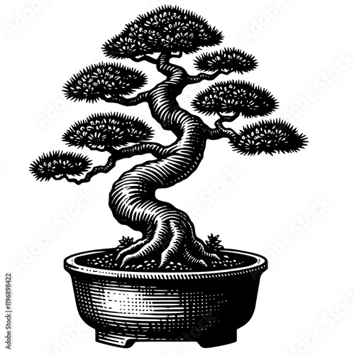 Bonsai Vector