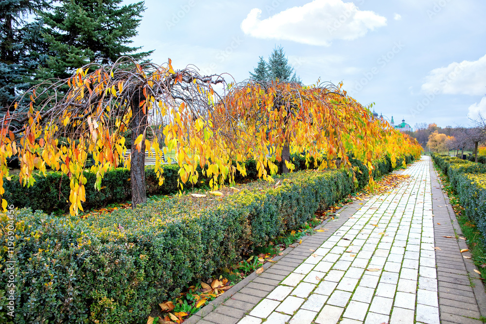 Vibrant autumn leaves adorn a tranquil garden path under a cloudy sky
