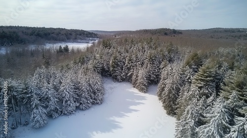 Breathtaking Aerial View of Snowy Forest Landscape photo