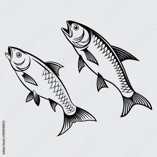 Roach fish image silhouette vector art and illustration
