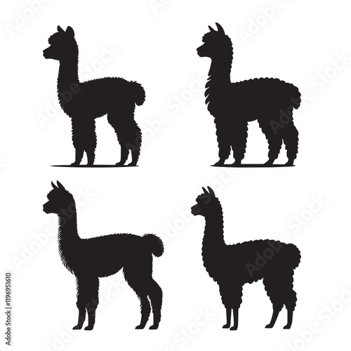 Set of Alpaca silhouette vector illustration, Alpaca animal clipart Design
