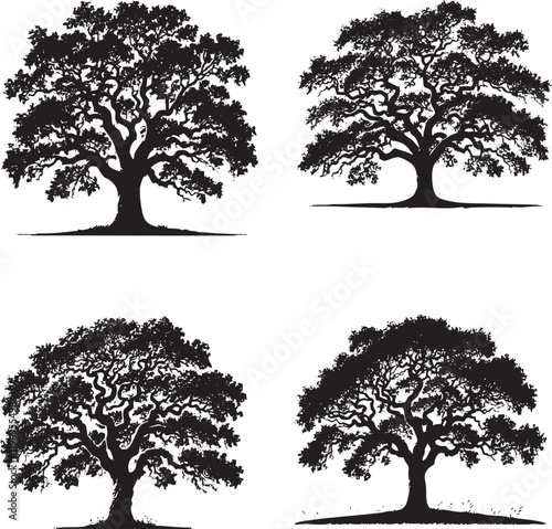 High-Quality Monochrome Vector Silhouettes of the Live Oak Tree Isolated on a White Background