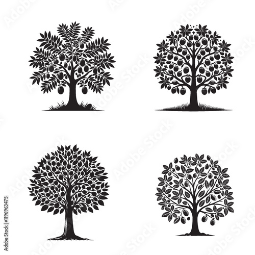 High-Quality Monochrome Vector Silhouettes of the Nutmeg Tree Isolated on a White Background