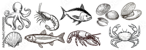 Vintage seafood illustrations collection, PNG element set on transparent background