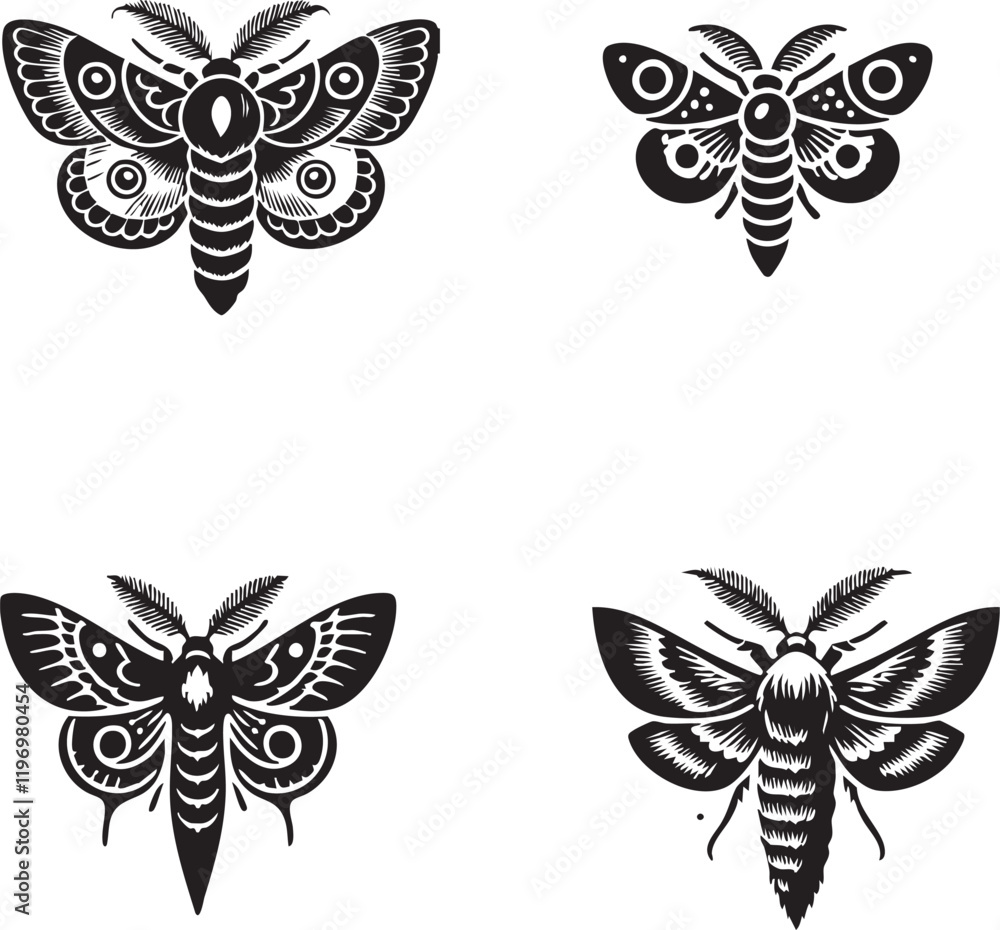 High-Quality Monochrome Vector Silhouettes of the Pileated Moth Isolated on a White Background High-Quality Monochrome Vector Silhouettes of the Pileated Moth Isolated on a White Background