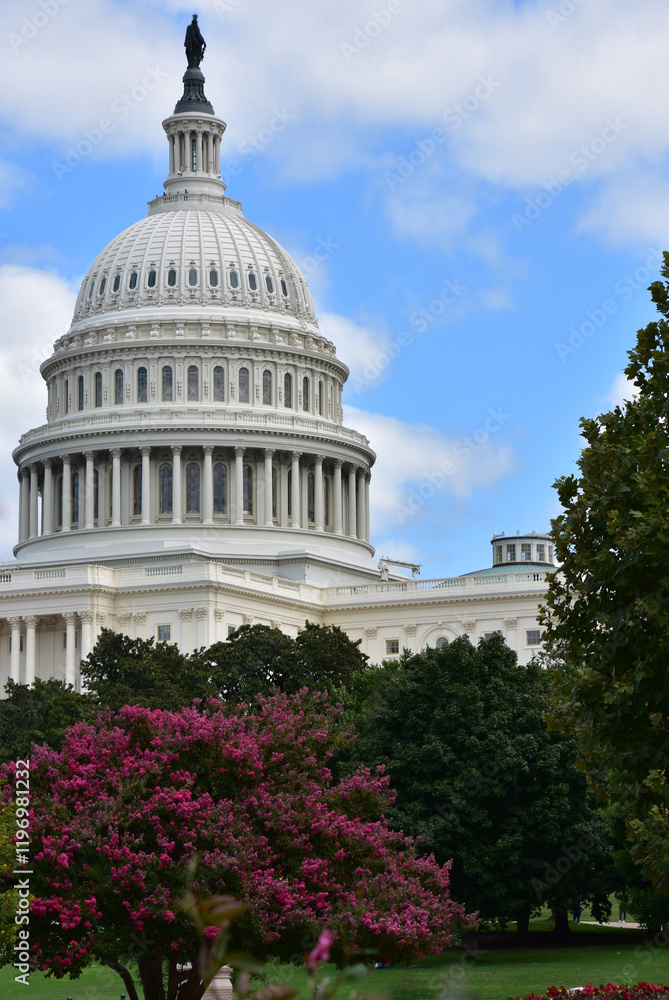 Obraz premium Scenic View of the US Capitol Dome