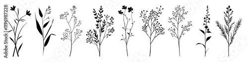 Botanical silhouettes in artistic arrangement, PNG element set on transparent background