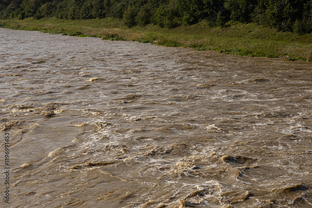 Fast-flowing muddy river with turbulent water caused by heavy rainfall passing through green forested riverbank on a sunny day. Flooding, extreme weather, natural disaster and water dynamics Fast-flowing muddy river with turbulent water caused by heavy rainfall passing through green forested riverbank on a sunny day. Flooding, extreme weather, natural disaster and water dynamics