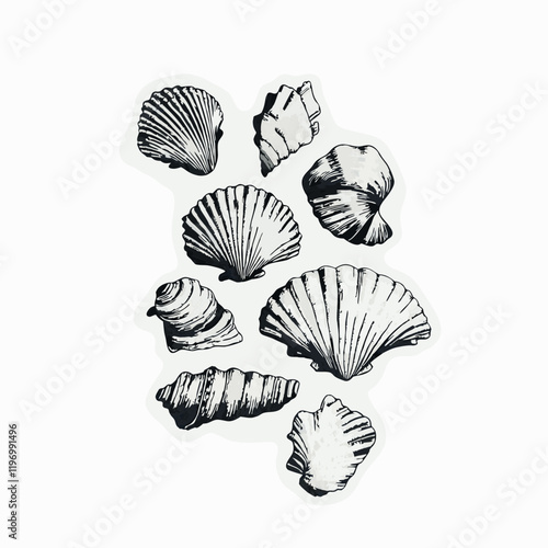 Sea shells sticker