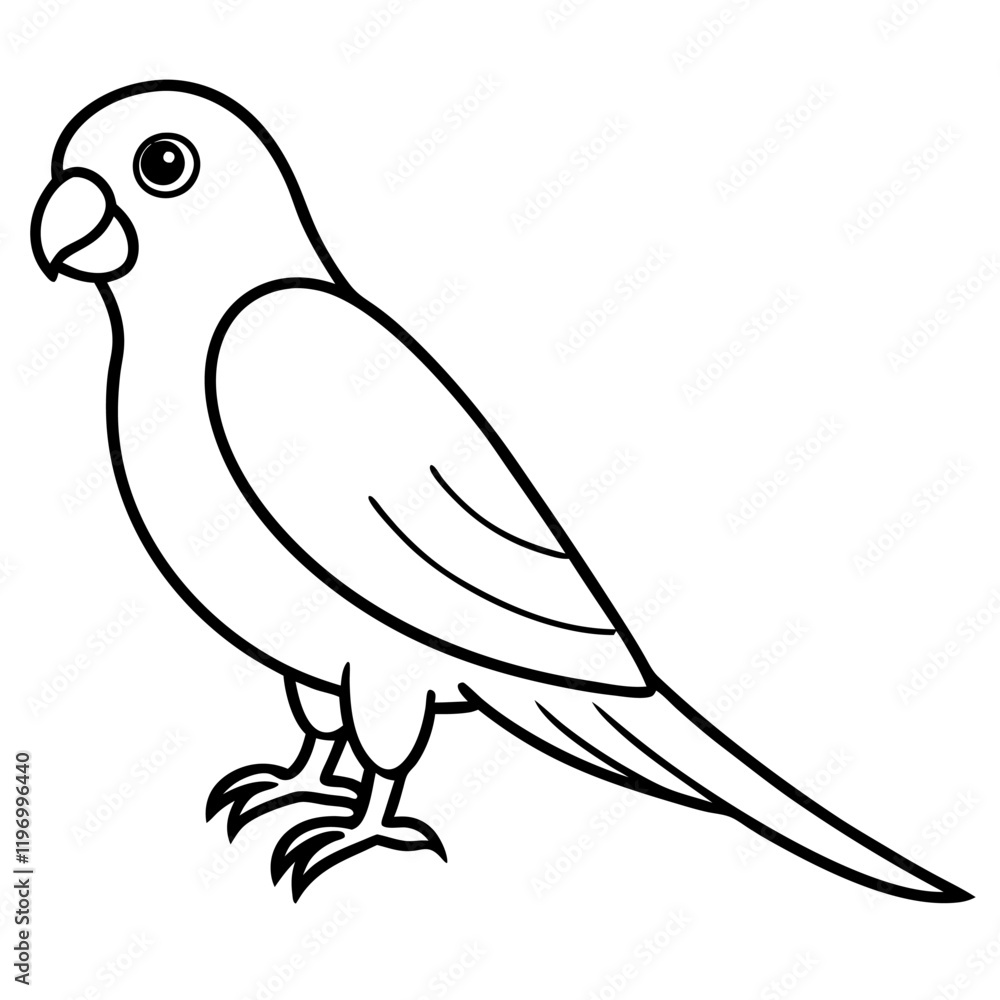 bird on a branch bird on a branch
