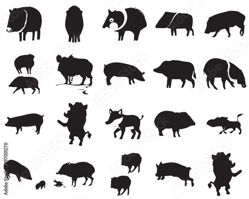 pekari vector set silhouette