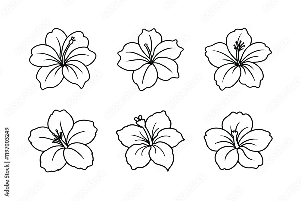Fototapeta premium set of flowers vector