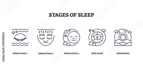 Stages of sleep depicted with icons for NREM and REM phases, transparent background. Key objects, eye, face, brain. Outline icons set.