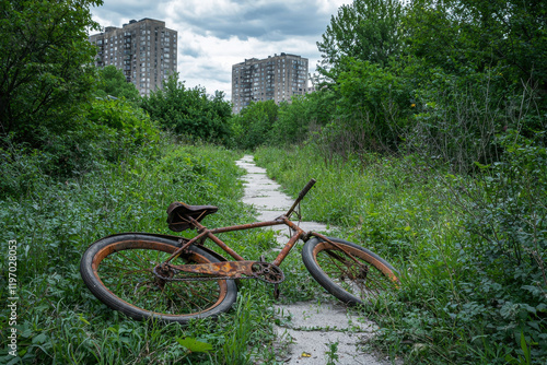 Rusty Bicycle Abandoned in Overgrown Park photo