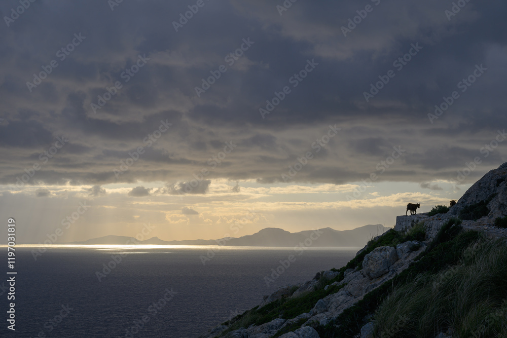 Hiking trail along the coast with dramatic light near Cap de Formentor, Majorca, Spain Hiking trail along the coast with dramatic light near Cap de Formentor, Majorca, Spain
