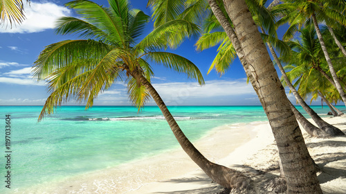 breathtaking beach on a lagoon with turquoise sea, white sand and green palm trees photo