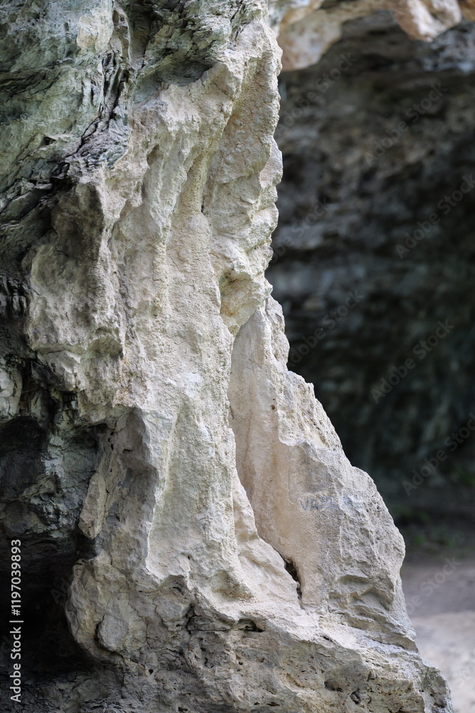 Fels Nahaufnahme entlang Wanderweg Fels Nahaufnahme entlang Wanderweg