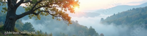 Soft white fog gently wraps around a tree branch in the landscape, nature, isolated photo