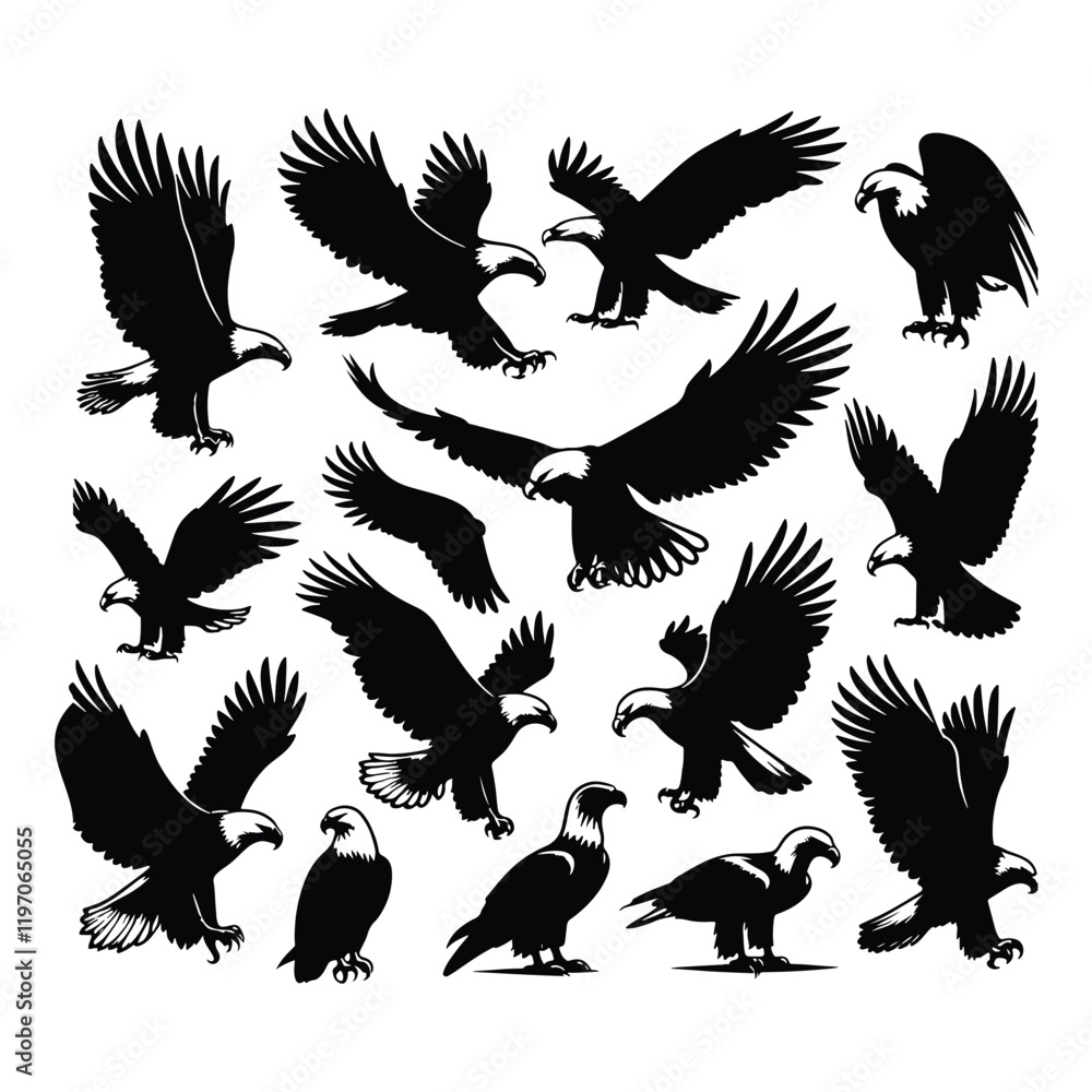 Obraz premium Eagle bird vector on a set design with white background