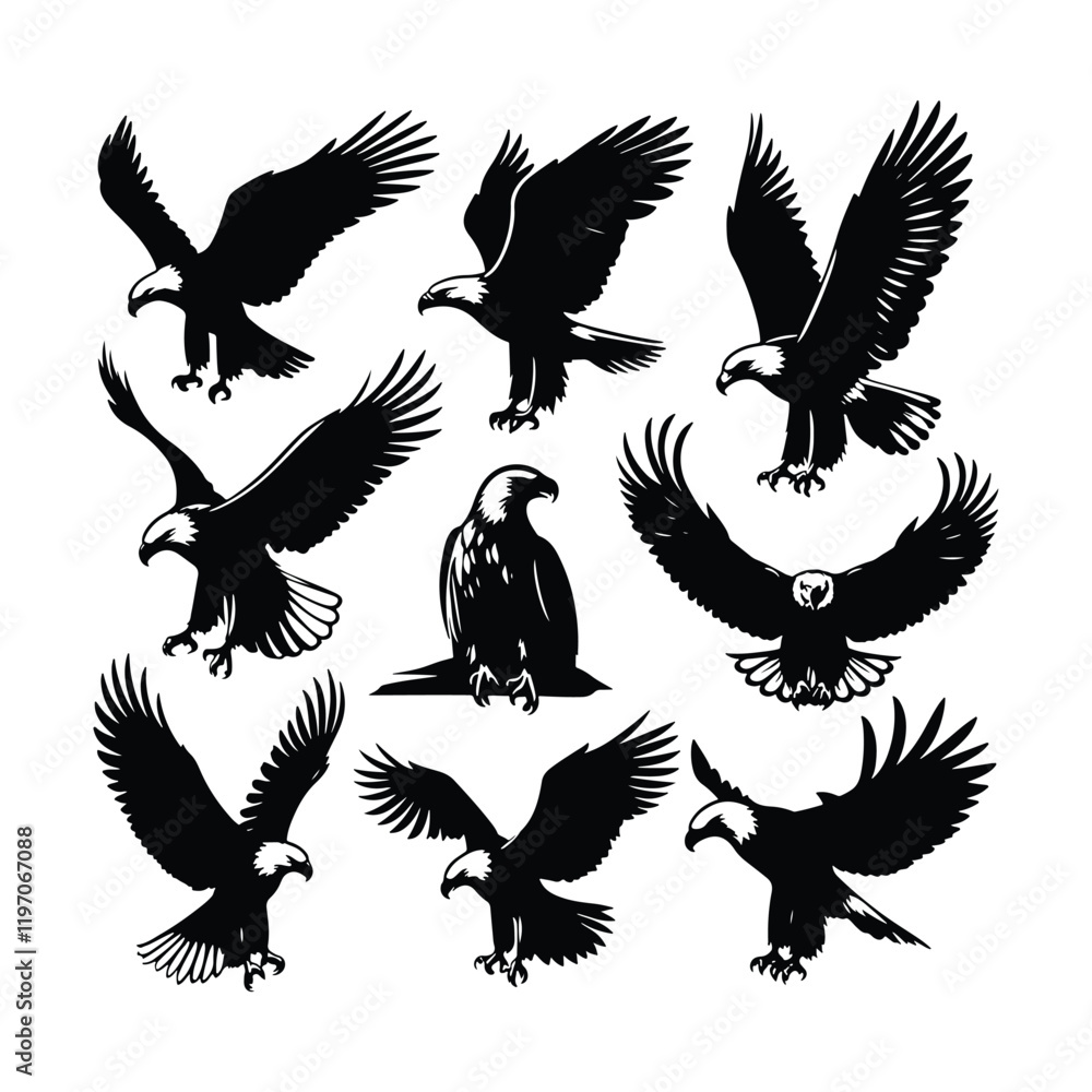 Obraz premium Eagle bird vector on a set design with white background