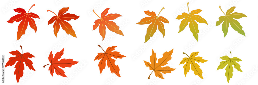 Illustration design of various shapes of tree leaves and grass leaves Illustration design of various shapes of tree leaves and grass leaves