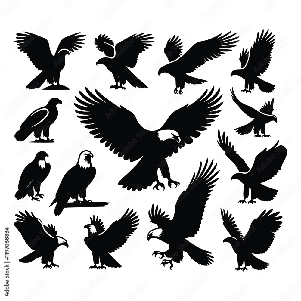 Obraz premium Eagle bird vector on a set design with white background