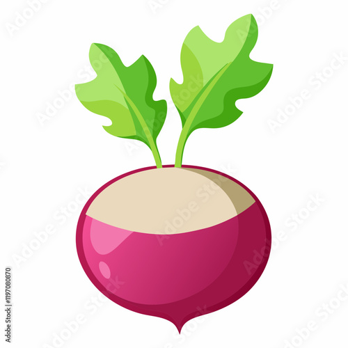 fruit, food, vector, leaf, isolated, green, illustration, apple, nature, fresh, healthy, orange, organic, ripe, natural, plant, white, vegetable, sweet, vegetarian, red, fruits, pear, plum, juicycc