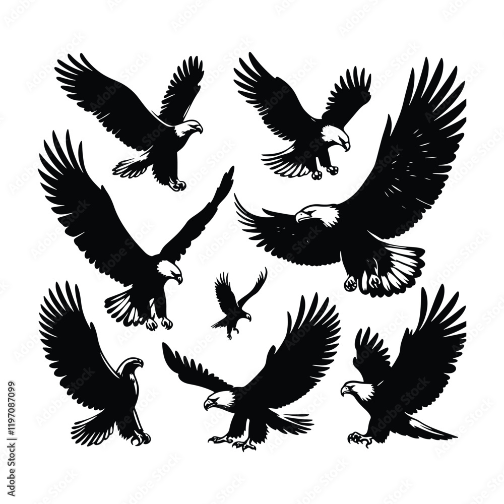 Obraz premium Eagle bird vector on a set design with white background