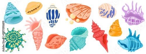 Set of colored sea shells, molluscs, sea snails, starfish. Modern flat illustration of seashells isolated on white background.