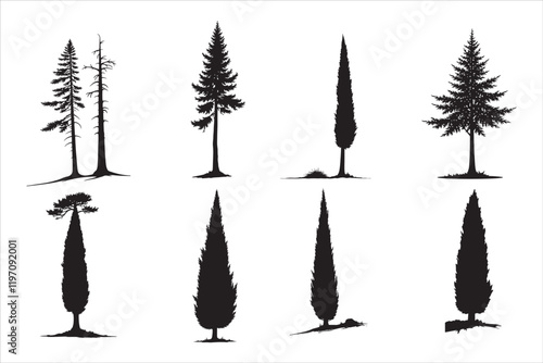 Cypress Tree Silhouettes