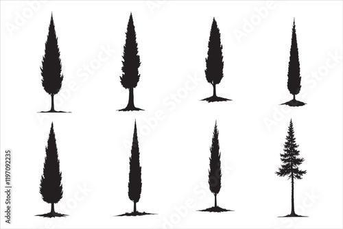 Cypress Tree Silhouettes