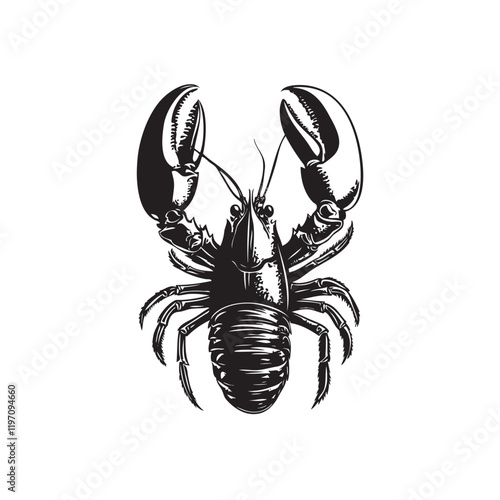 lobster illustration