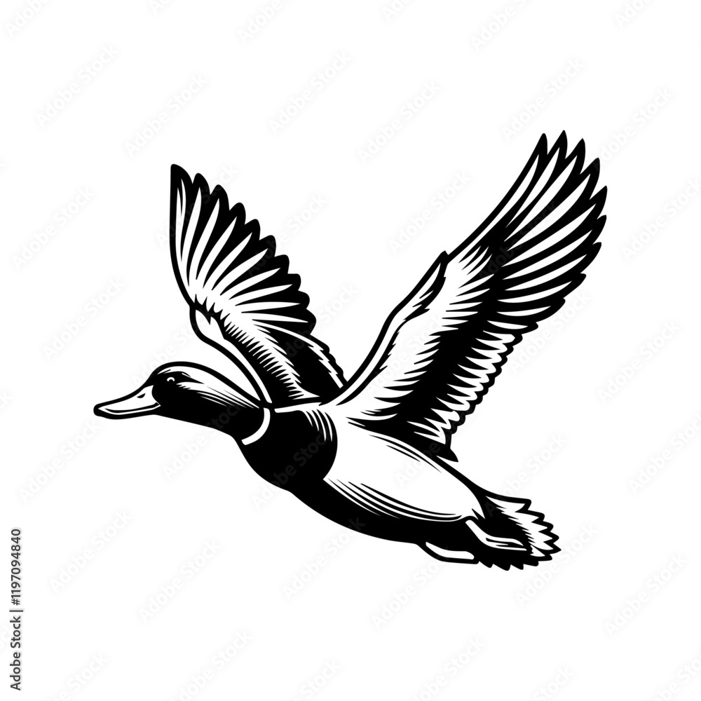 Obraz premium Duck flying black silhouette vector