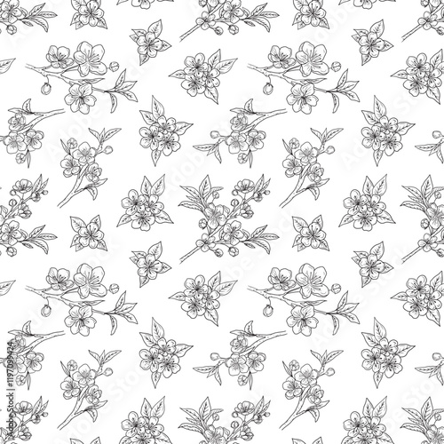 Seamless pattern with cherry blossom branches with beautiful flowers and buds in black on white. Hand drawn vector sketch illustration in doodle engraved vintage line art style. Floral botanical