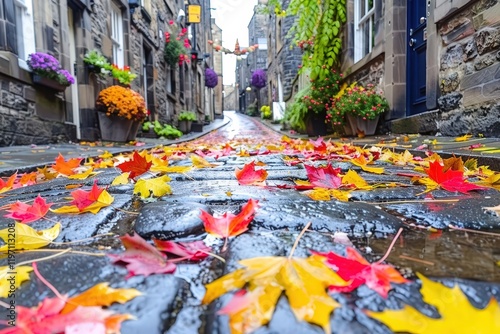 A street with a brick walkway covered in autumn leaves photo