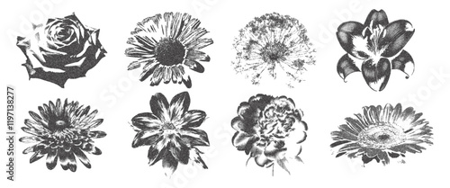 Vintage floral elements in retro grunge style. The effect of granularity. Vector.