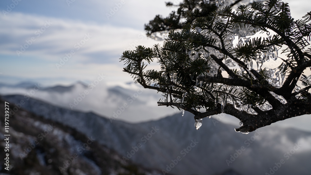 Obraz premium Frozen Branches in the Misty Mountains