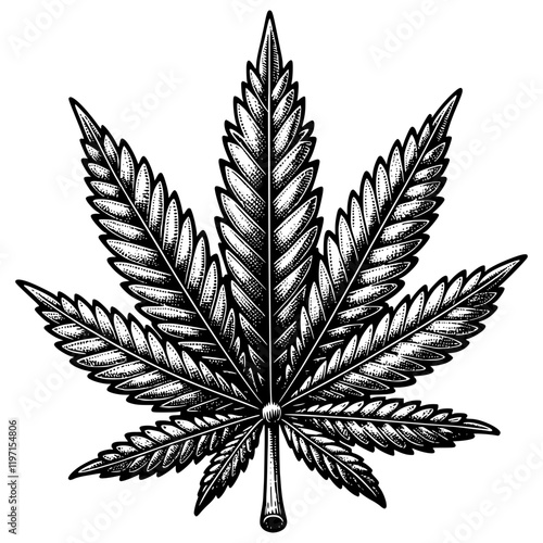 Cannabis Weed Illustration