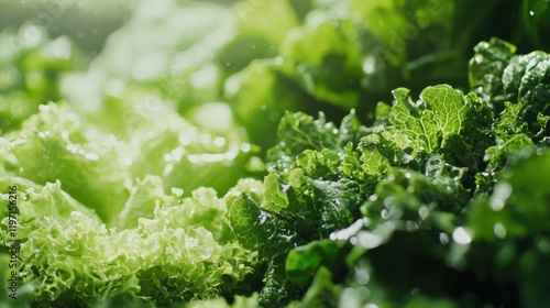 close-up of a healthy fresh organic vegetables