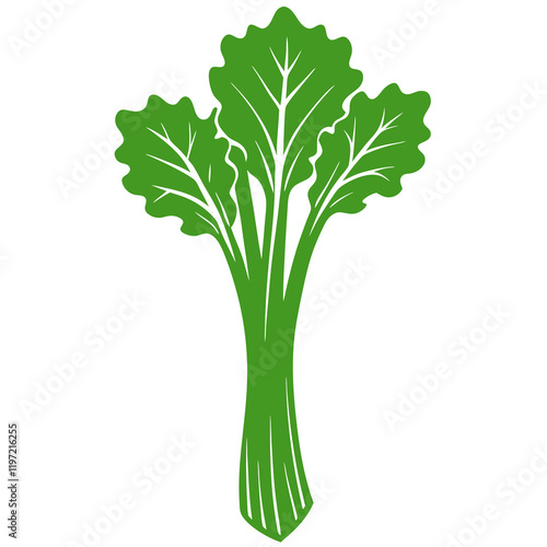 celery isolated on white background
