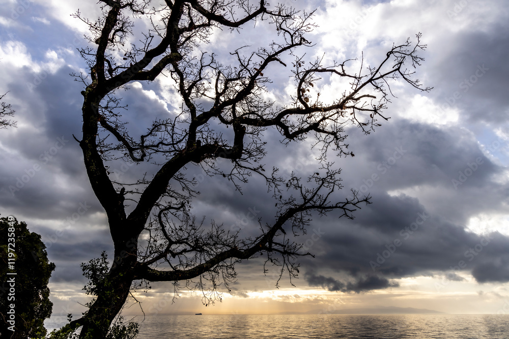 Sun rays peaking through the dark clouds in the adriatic sea creating a dramatic effect Sun rays peaking through the dark clouds in the adriatic sea creating a dramatic effect