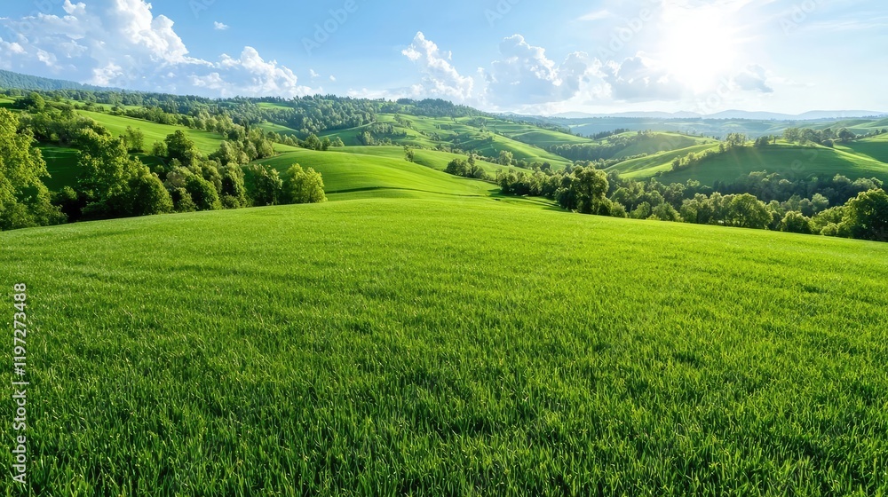 Sunny spring field in rolling hills landscape, perfect for travel and nature posters Sunny spring field in rolling hills landscape, perfect for travel and nature posters