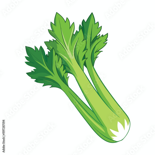 celery isolated on white background