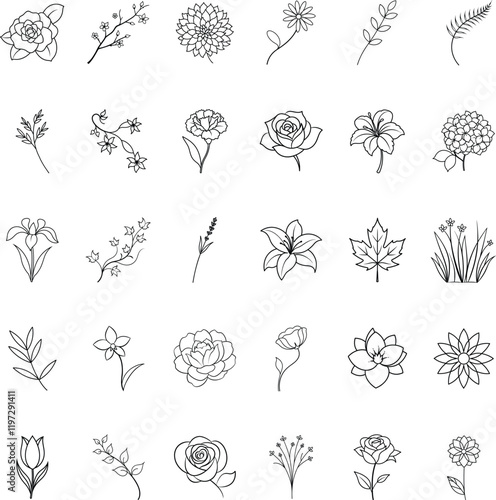 Simple Line Art Floral Designs Roses, Lilies, and More