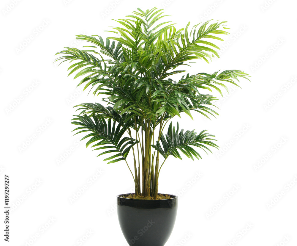 Fototapeta premium Stunning Artificial Palm Tree in a Stylish Pot - Perfect Indoor Decor , isolated on white background PNG