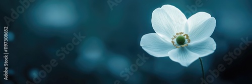 Panel kuchenny z motywem Kwiat Panorama: Vibrant Flower Field with Anemones Against a Stunning Background