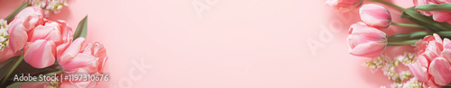 Tulips on a pink banner with copy space