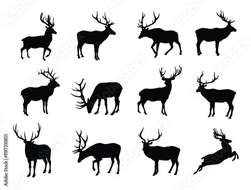 Silhouette of elk or deer