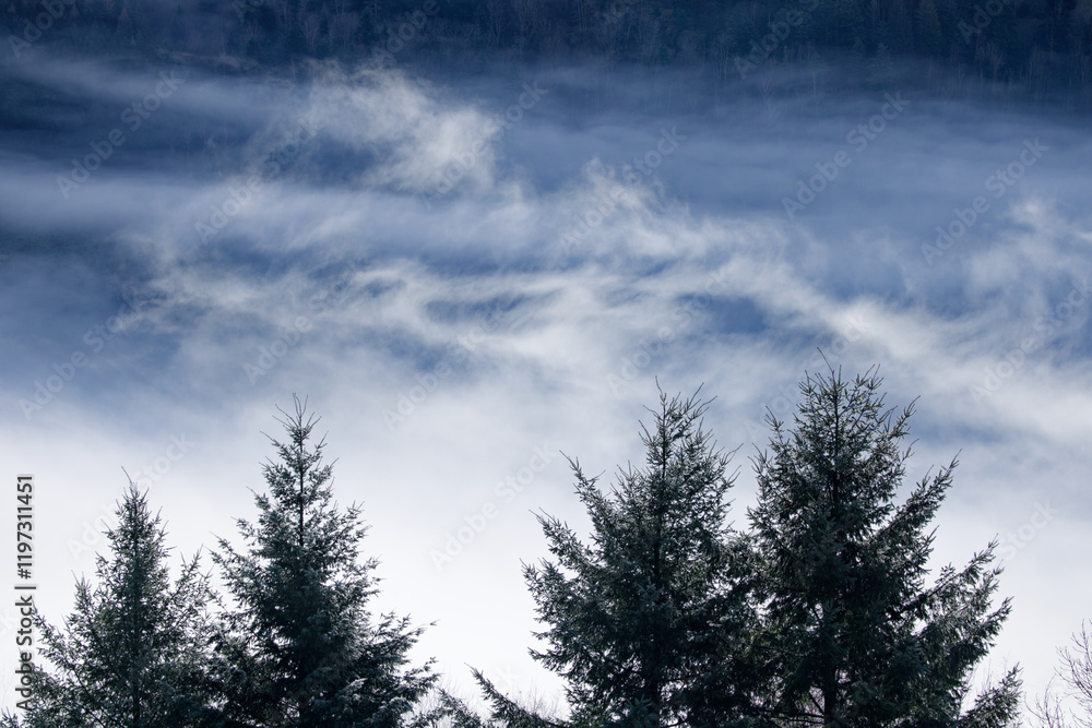 Paysage de brume dans les Vosges Paysage de brume dans les Vosges