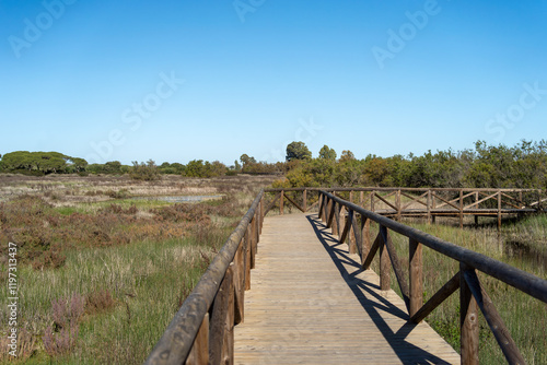 Obraz na płótnie El Puerto de Santa María - Puerto Real / Naturpark der Bucht von Cádiz w salonie